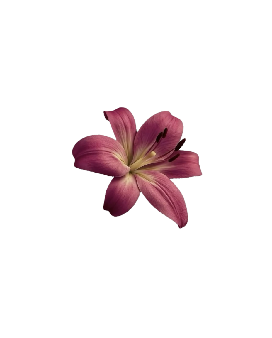 Lotus & Figwood
