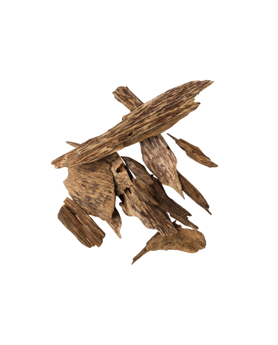 Oud & Bergamot