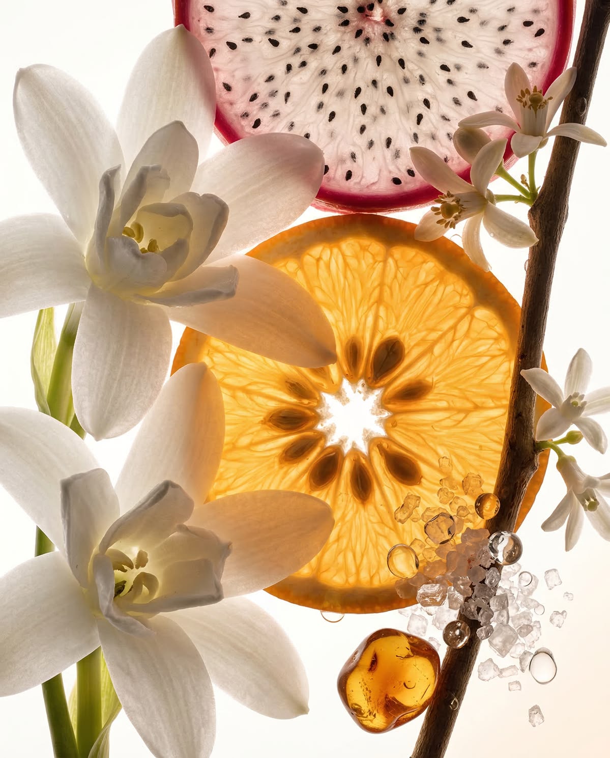 Fragrances