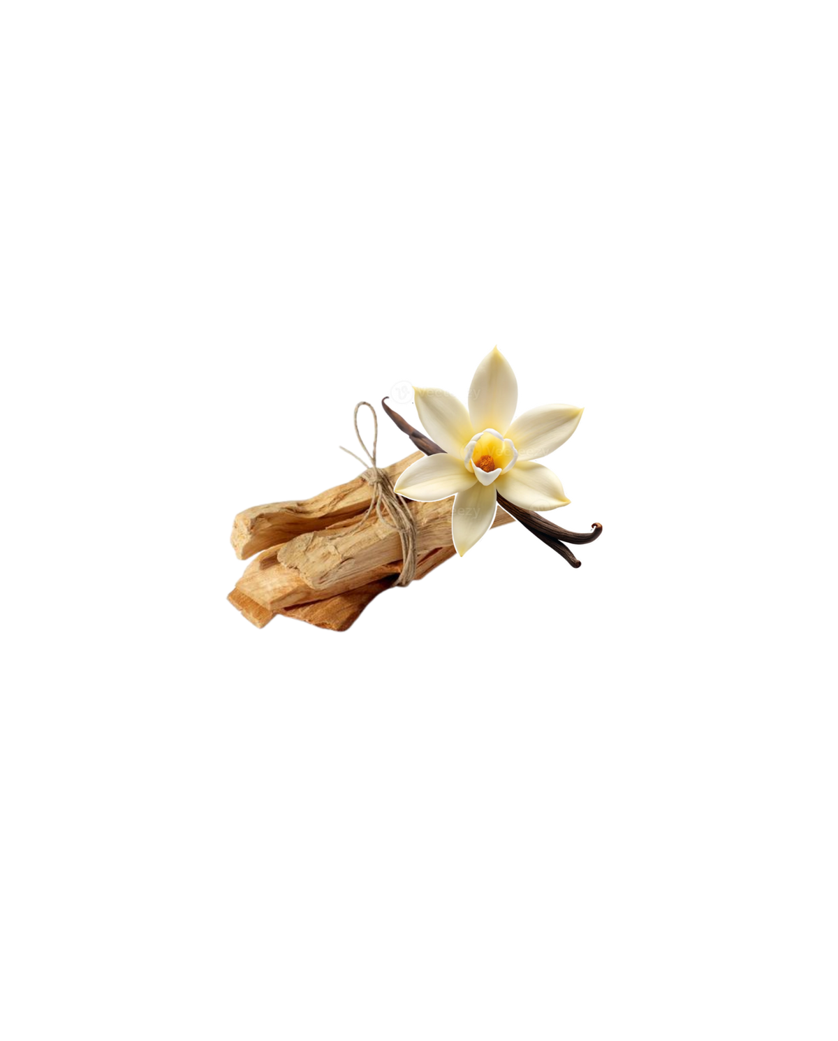 Silk Sandal