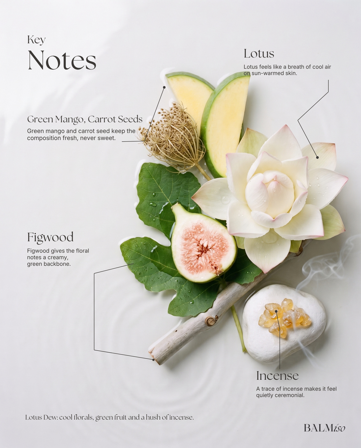 No.4 Restorative Radiance Face Wash